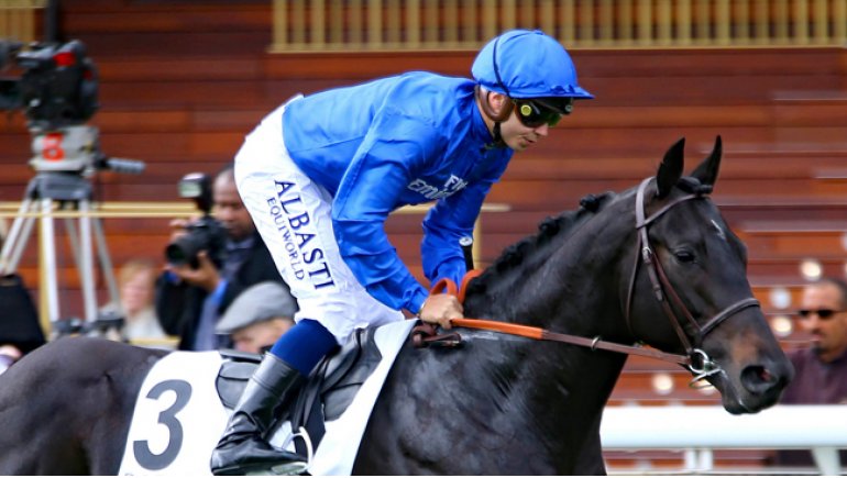 Roman Candle, le premier fils de Le Havre étalon, débute au Haras de la Hêtraie - France-sire