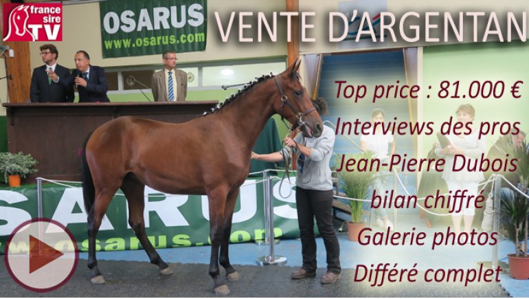 vente trotteur argentan