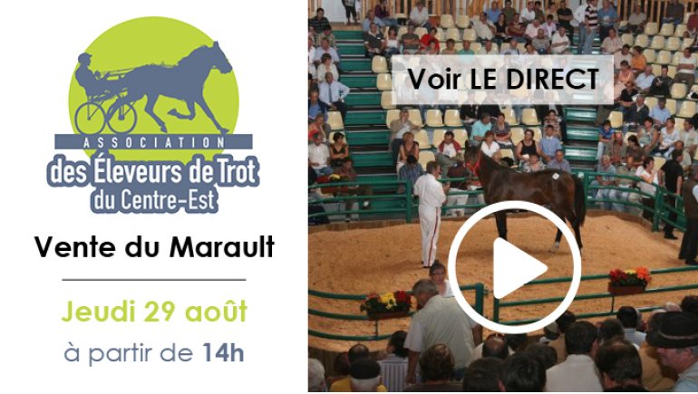 vente magny cours trotteur
