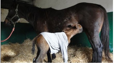 article-vignette-1363518167-8220.jpg?w=310&h=174