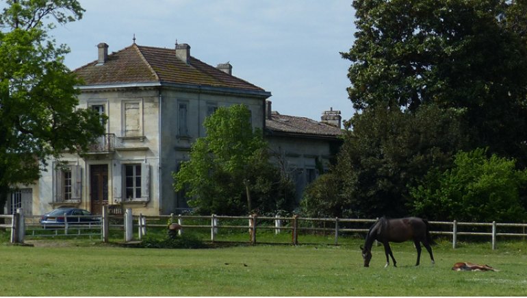 haras d'ayguemorte