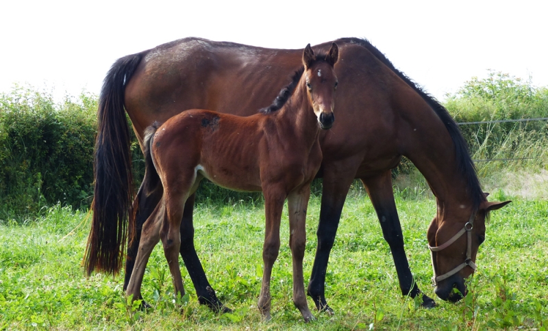 rencontre antoine daniel