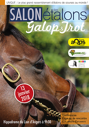 rencontres dans le monde du cheval