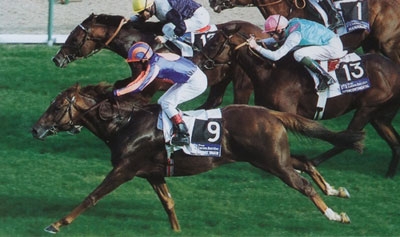 france sire tv