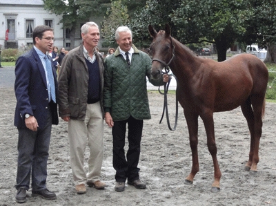 4b_Brasiliande_Pontadour