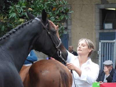 concours_elites_tarbes_2011