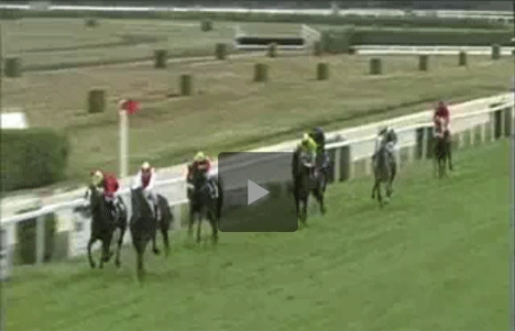 Les vidéos des courses d'anglo-arabes à Mont-de-Marsan