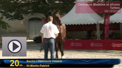 Arco Céleste au concours Elite de Tarbes