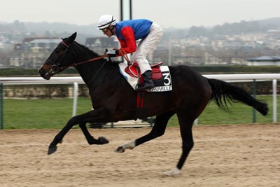 Thélèze à Deauville