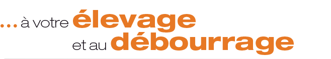 à votre élevage et au débourrage