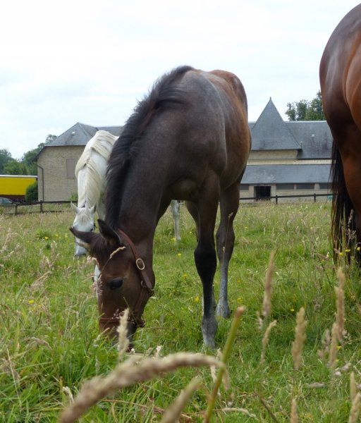 rencontre belmont loire