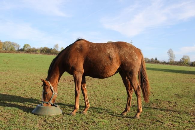 Comme Maman (Ballingarry & Merci Pierji)