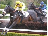 Choeur du Nord dans le Prix Champaubert
