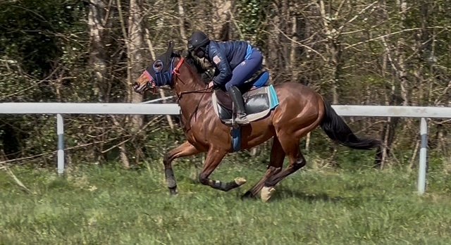 canter