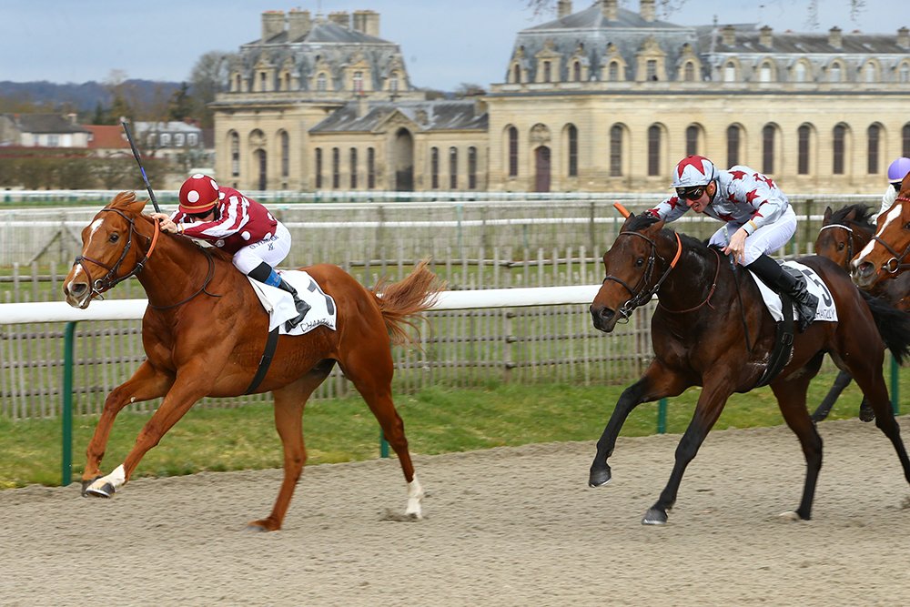 Qatar Bolt à Chantilly Qatar Bolt à Chantilly