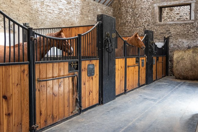 Boxes spacieux (4mx5m) Boxes spacieux (4mx5m)