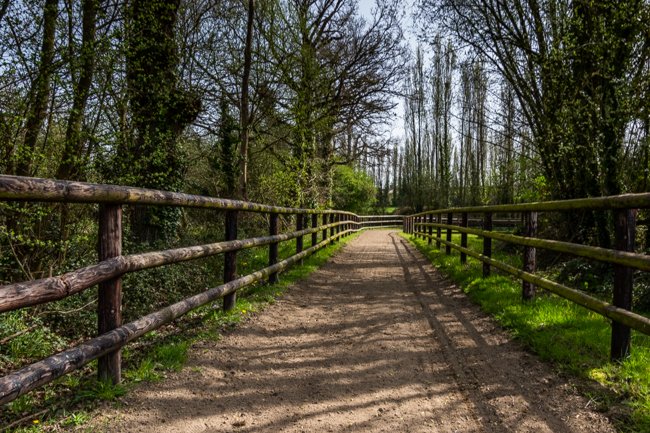 Piste ombragée Piste ombragée