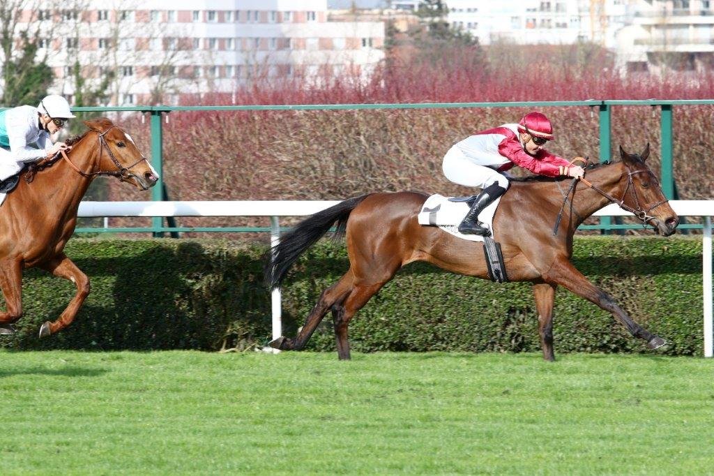 Music Lover Music Lover