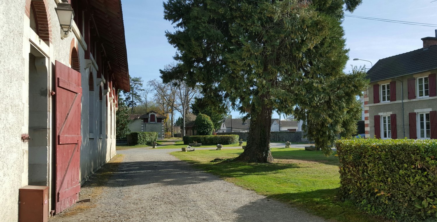 HARAS NOVEMBRE 2015 HARAS NOVEMBRE 2015