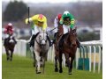 neptune collonges