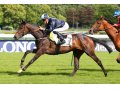 Amazonya à Longchamp