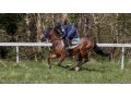 canter
