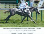 Bagatelle de Thaix