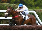 Fraca de Thaix - Prix Finot (L.)