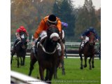 Une Destiné, Gagnante Prix André Michel G III à Auteuil.