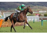 Espoir d'Allen Champion Hurdle 2019