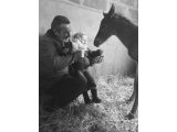 Foal Mâle (Saddler Maker X Valse de Touzaine) 