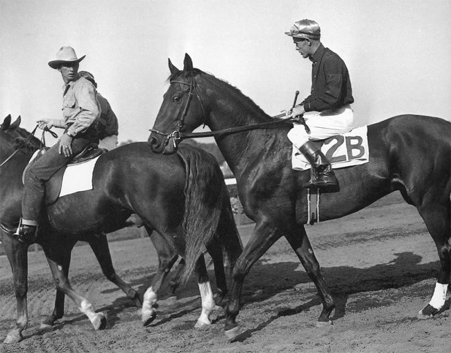 trotteur personne agée