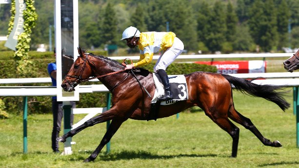 Paris Pour Tous Chateaubriant Mardi 8 Septembre France Sire