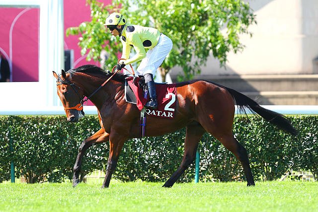 Prix JeanLuc Lagardère 2023 Rosallion bat le record de l'épreuve et