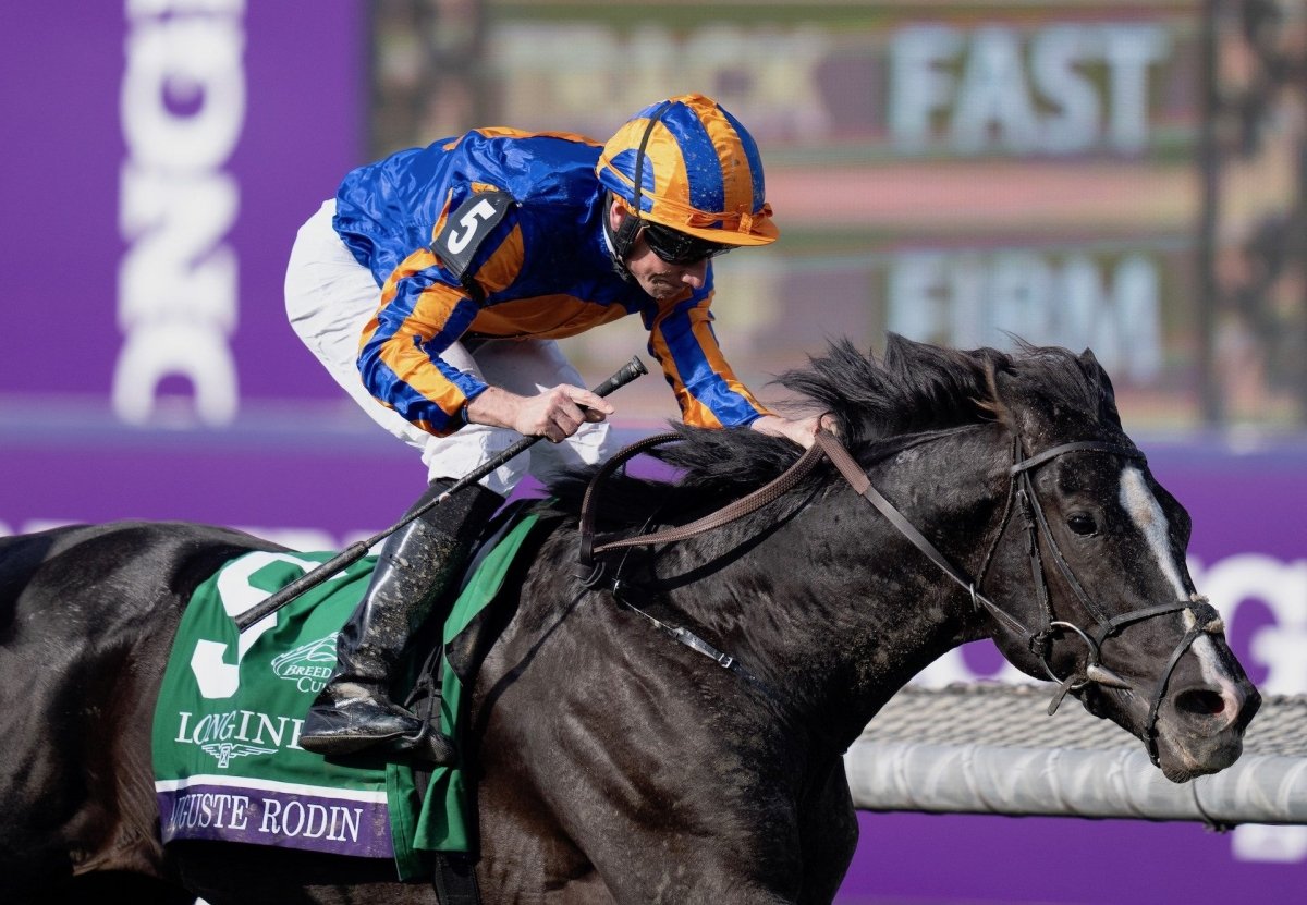 Auguste Rodin, un sacre dans la Breeders' Cup Turf, avant le pari fou