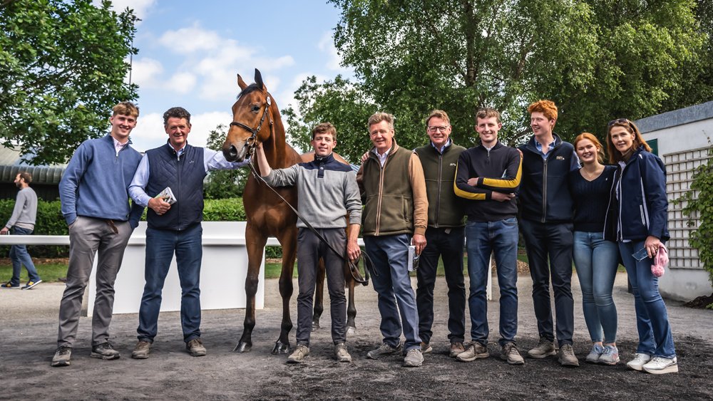 Arkle Sale 2024 le France écrase une vente qui remet le facteur sur