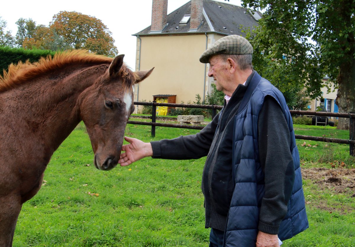FOALS 2024 : les nouveaux espoirs de l'Elevage Figerro (G.Cillo), du ...