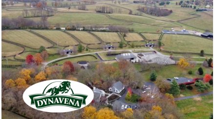Taylor Made Farm: Discover the American stud farm that has become the world sales leader
