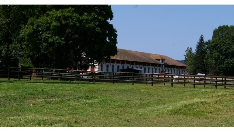 Fiche établissement HARAS DE GELOS France sire