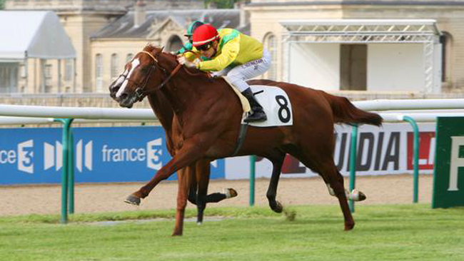 Frere Cadet De D Elden Ring Prix Eugène Adam : Heshem, un espagnol presque authentique - France sire