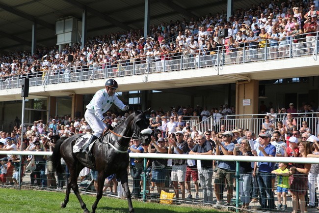 C'Lartist Maulde s'offre Bucefal dans le Grand Cross de Craon - France sire