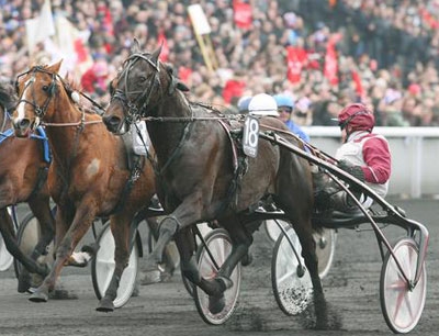 run run trotteur
