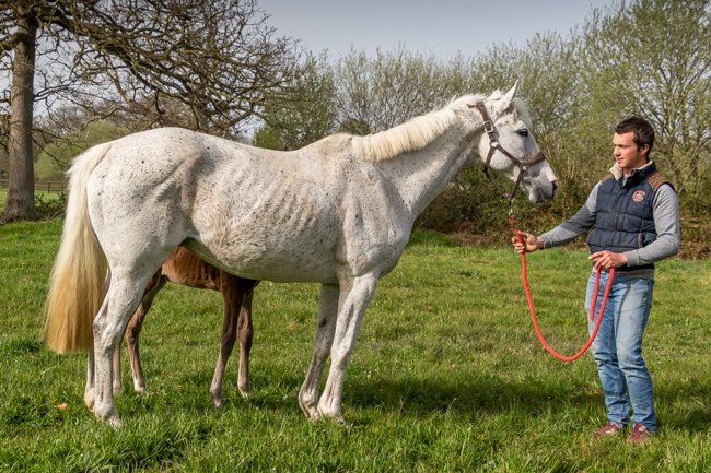 Lune Royale (Verglas & Eclipse de Lune)
