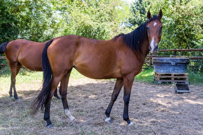 Hide The Key par Motivator & Hideaway