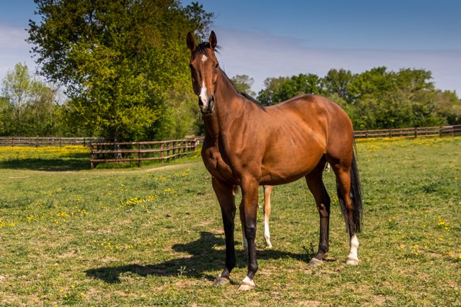 Hide The Key par Motivator et Hideaway - Avril 2021