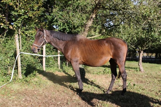 Just In (Star Fast & Raïka)