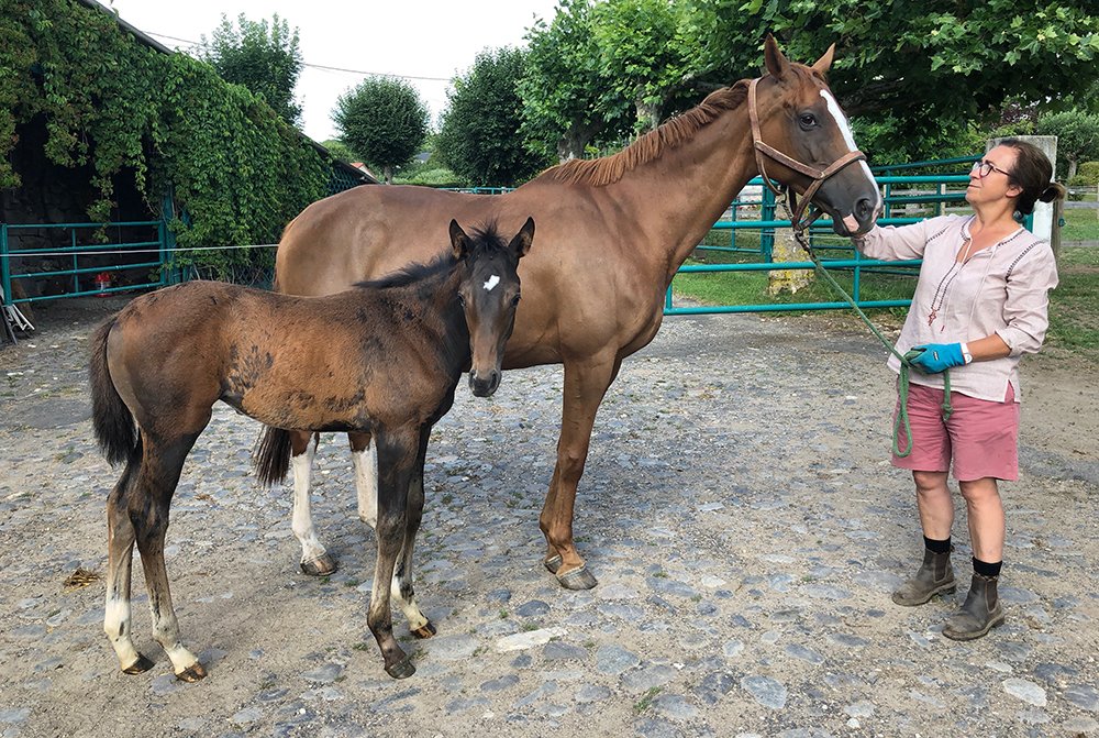 Femelle 2018 de Vision d