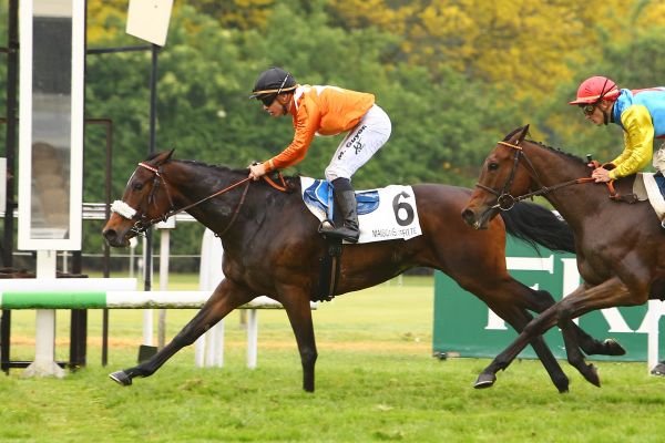 Bubble Sea à Maisons-Laffitte