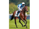 internaute canter