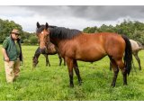 Devise d'Oudairies par Saint des Saints & Jade d'Oudairies